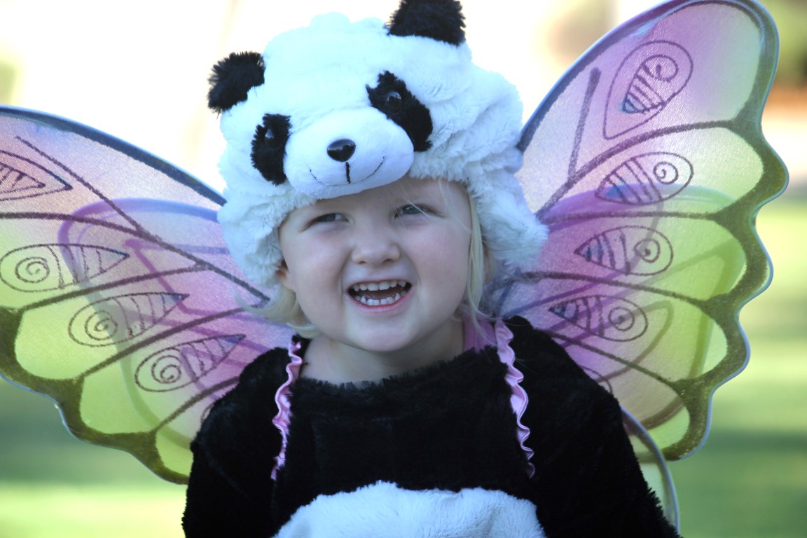 Fairy Panda Bear Costume
