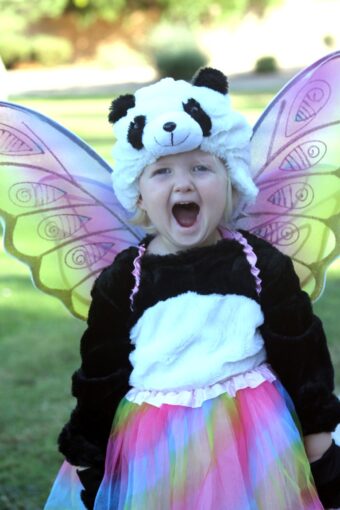 Amazon’s Fairy Tale Response to a Toddler’s Halloween Wish